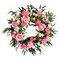 Lyla Pink Rose Green Beech Door Wreath 24" Natural Grapevine All Season Indoor Outdoor Decor